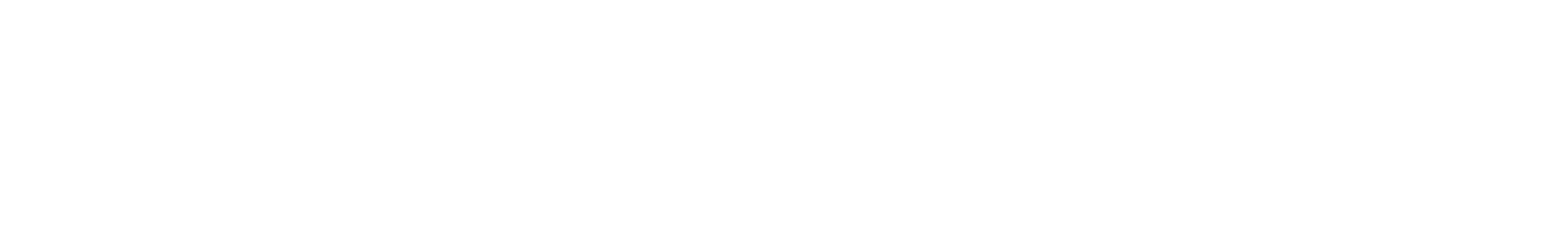 Elton Pedroso - Designer